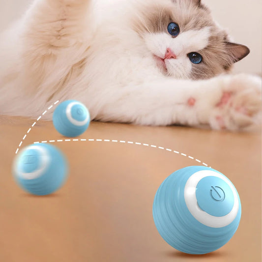 Pelota para Gatico